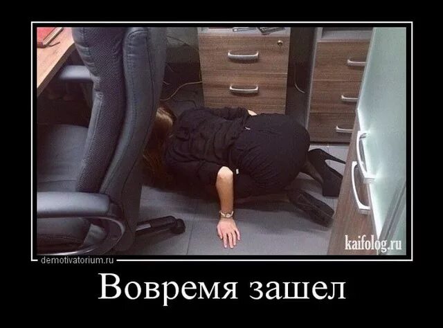 Цыпочки прикольные картинки. Цветы и конфеты не пью. А сейчас наставили камер. Вовремя вошел. Анекдоты про май.