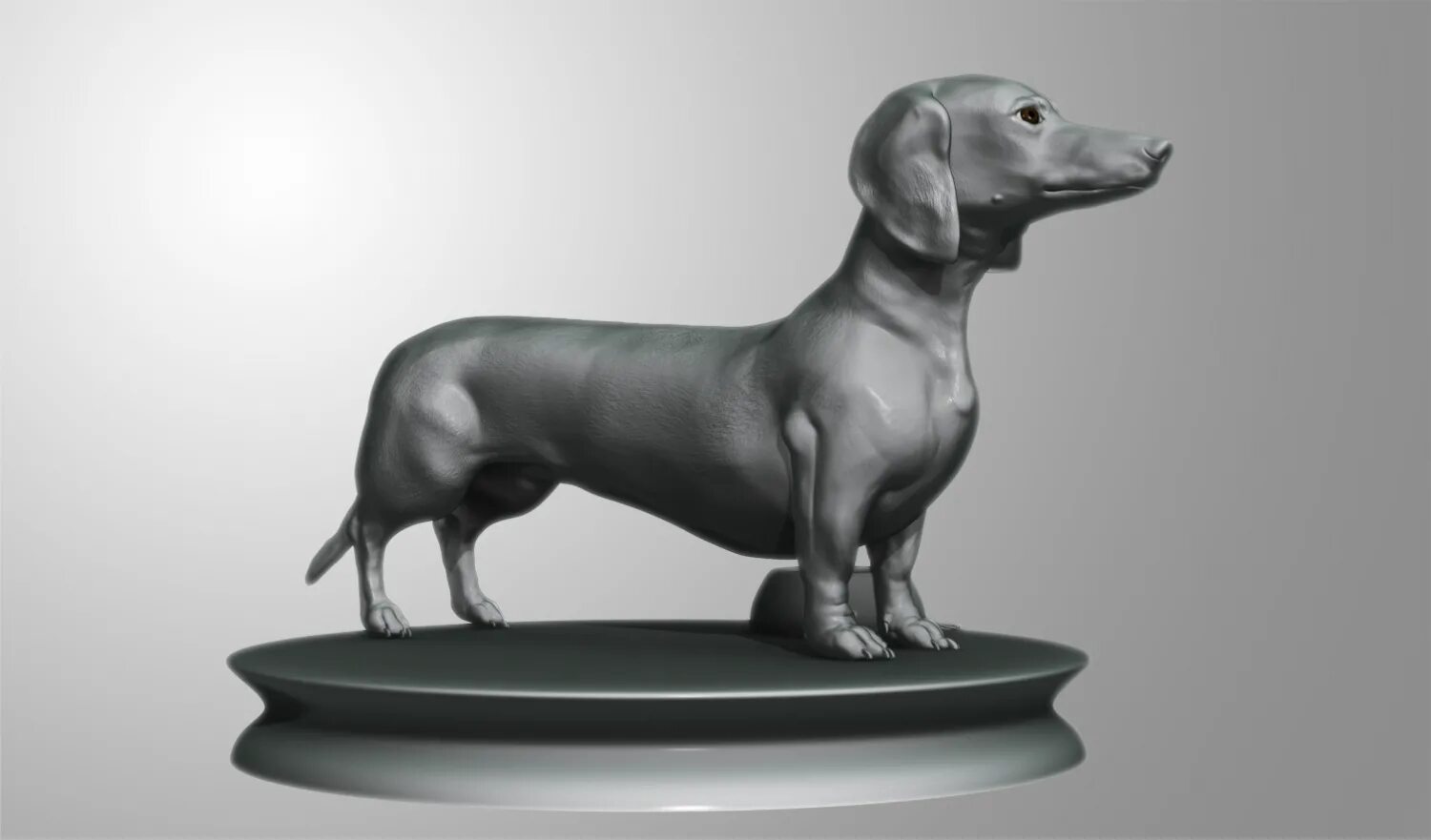 Собака 3д модель. Собака 3 д такса. 3d модель собаки. собака для моделирования. три д модель таксы.