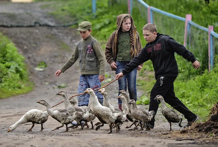 Baby village. Детская деревня семейный очаг. Выживать деревне семья. Покажи детей с поселка уньогана. Деревня для детейивиказани.