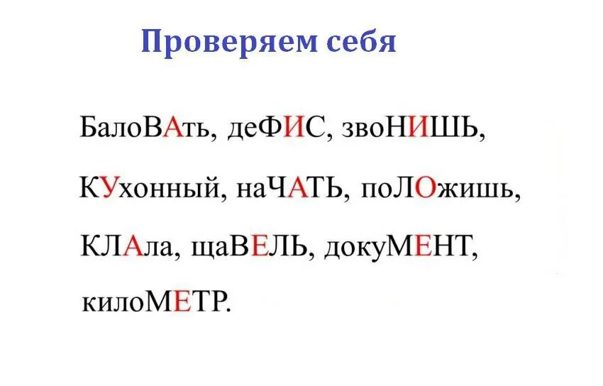 Как ставится ударение щавель. Щавель ударение. ударение. shavel udareniye. ударение в слове щавель.
