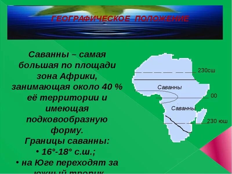 Самая большая площадь в африке занимает. Географическое положение саванны. Географическое положение саванны в Африке. Географическое положение зоны саванн. Географическое положение зоны саванны в Африке.