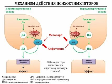 Механизм действия фармакология