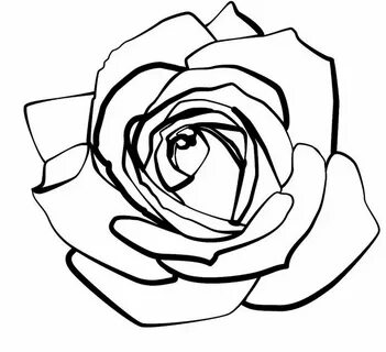 Rose line