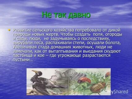 Сообщение о человеке природа краткое