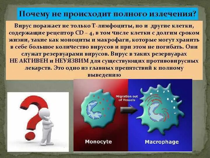 Вич полное излечение последние. Вирусы поражают. ВИЧ полное излечение. Вирусы могут поразить только. Почему ВИЧ поражает т лимфоциты.