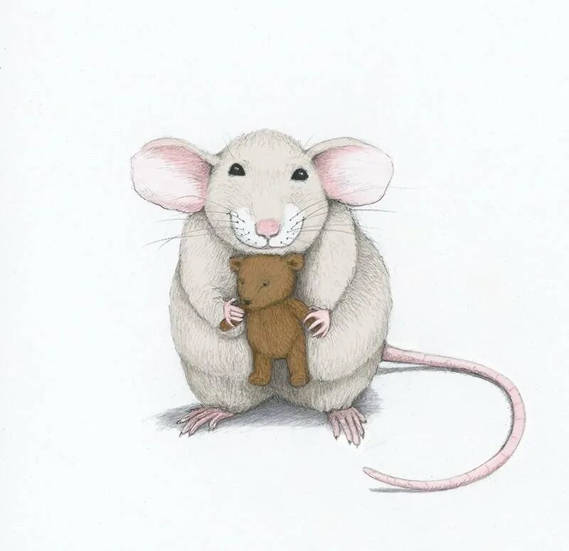 Мышка. Мышка рисунок. Крыса рисунок. Милые мышки. Мышь мило