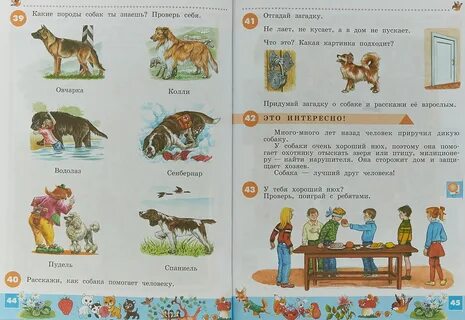 Мир 2 класс 2 вид