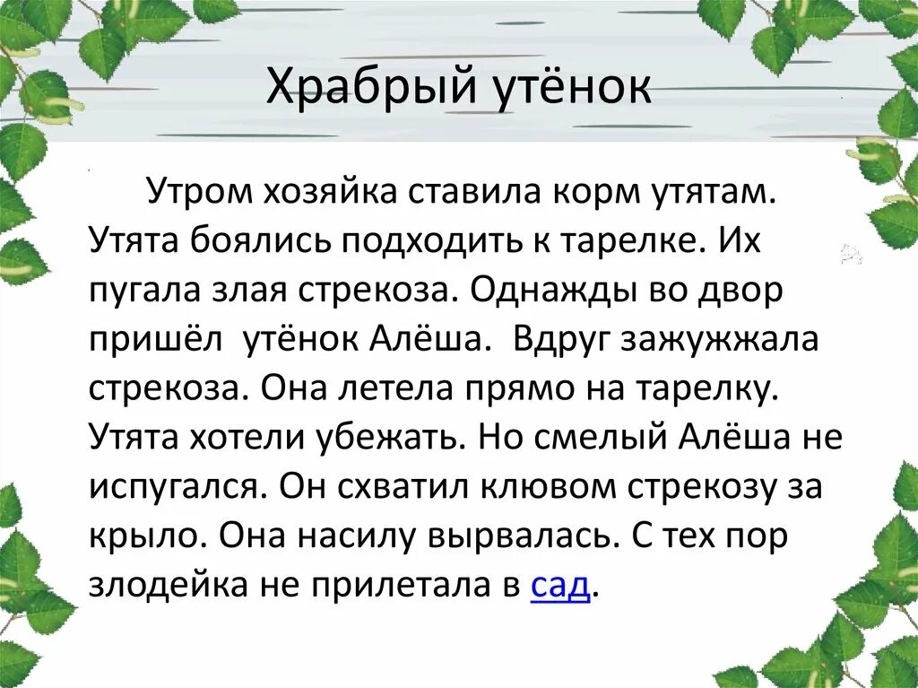 Поутру текст. Храбрый утенок текст. Однажды утенок Алеша пришел во двор. Утром ставила корм утятам хозяйка. Изложение Храбрый утенок.