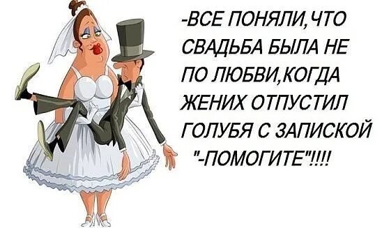Свадьба бывшего читать. Шутки про жениха. свадьба юмор. женихи смешные высказывания. юмор про женитьбу.
