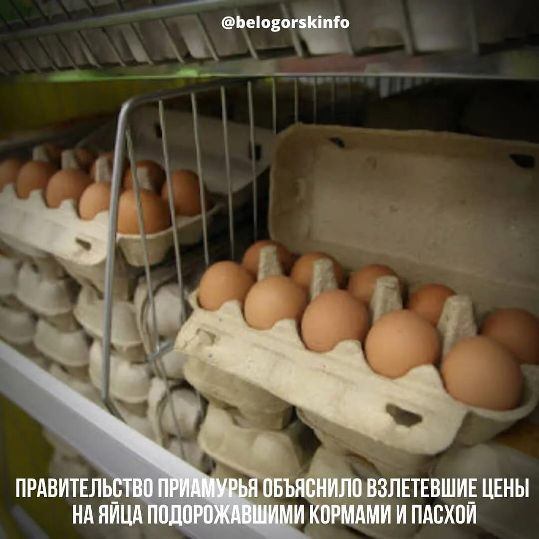 Курица и яйцо подорожало. Россия зависит от импортных яиц для вакцин прикольные картинки. Яйцо куриное европейское. Цена яиц в сша сегодня. Повышение цен на яйцо и курицу.