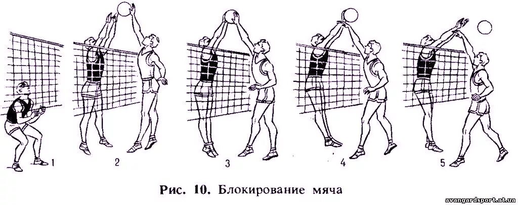 Волейбол блокирование нападающий удар техника. KJR D волебйоле. Техника блокирования мяча в волейболе. Техника выполнения блокирования мяча в волейболе.