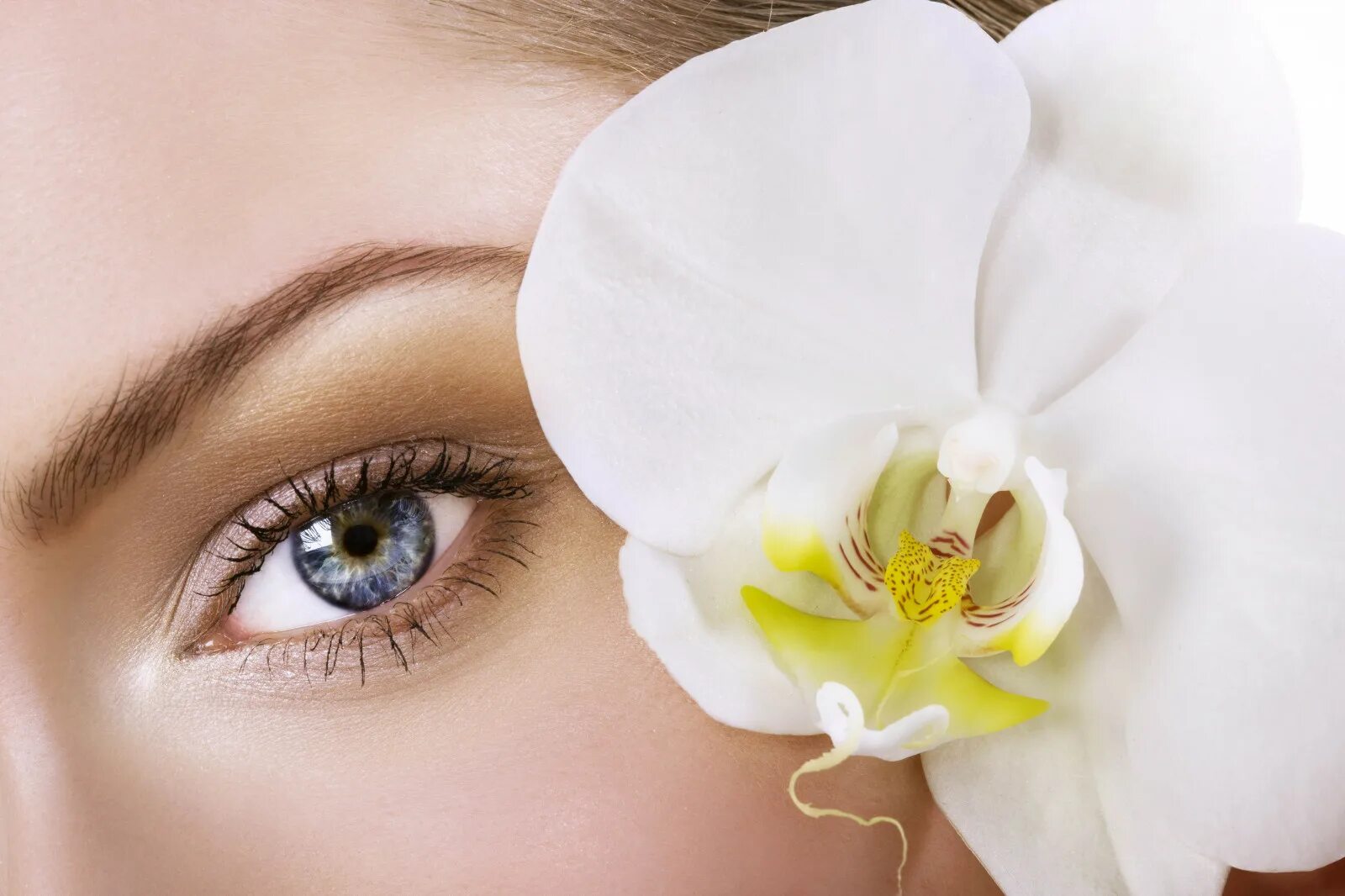 Красивые глаза в марте. Девушка с орхидеей. Женские глаза. Красивые глаза. Ламинирование глаз с цветком.