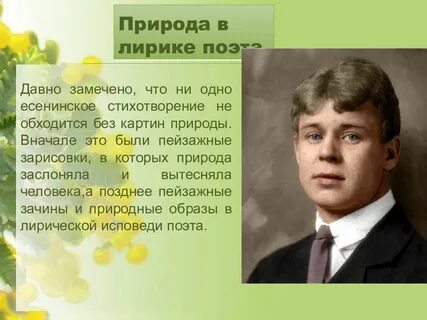 Приемы в стихотворениях есенина