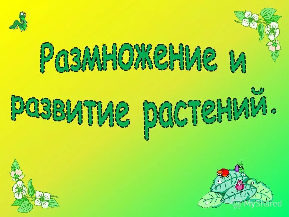 Развитие растения окружающий мир 3 класс