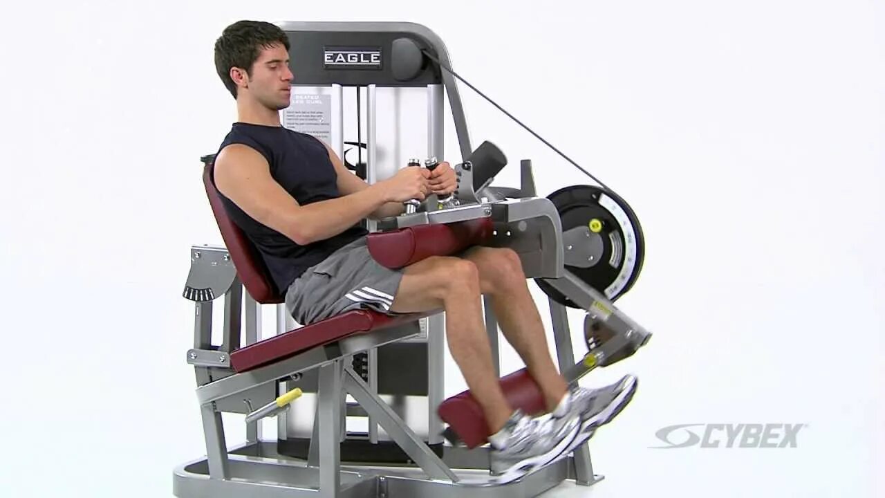 Curl bot. Cybex eagle leg press machine. cybex leg curl. seated leg curl machine. cybex leg press.