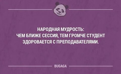 Поговорки студентов
