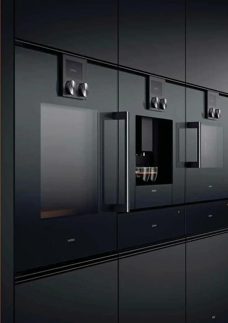 Гагенау. Кухня Gaggenau. 1103015 Gaggenau. Гаггенау техника. Gaggenau техника для кухни.