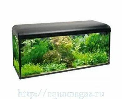 Аквариумный интернет магазин в москве