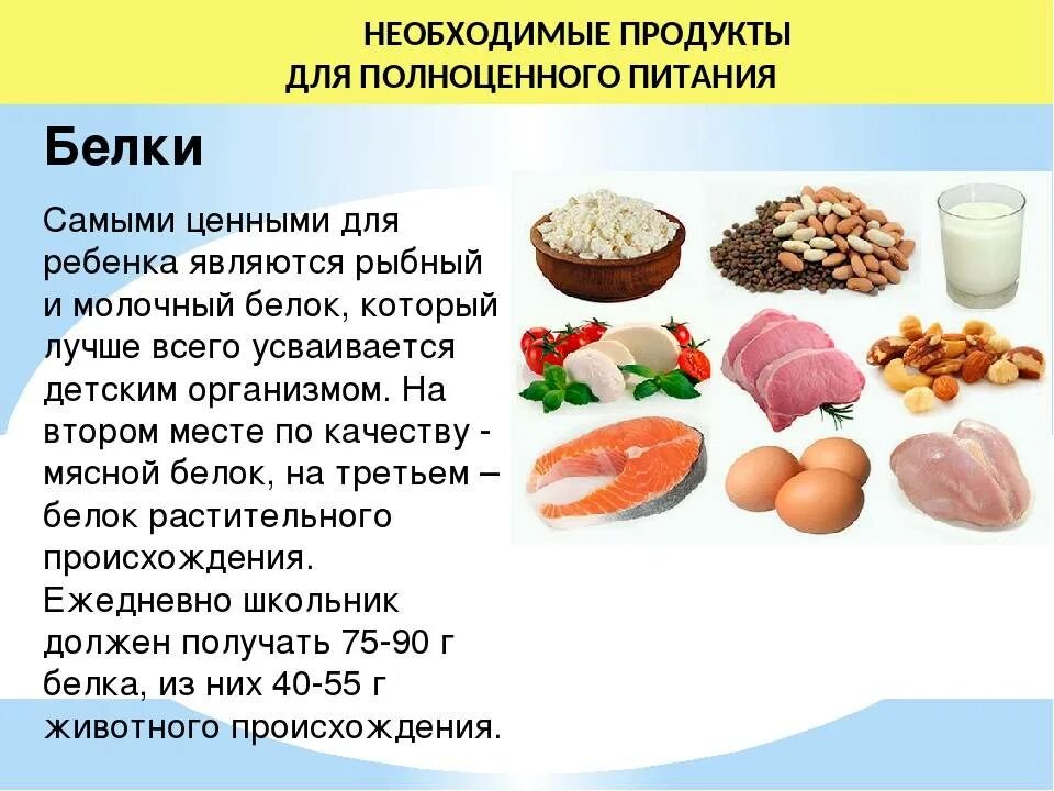 Как набрать норму белков. Белковые продукты питания. Белок в продуктах. Белки продукты. Белки в каких продуктах.