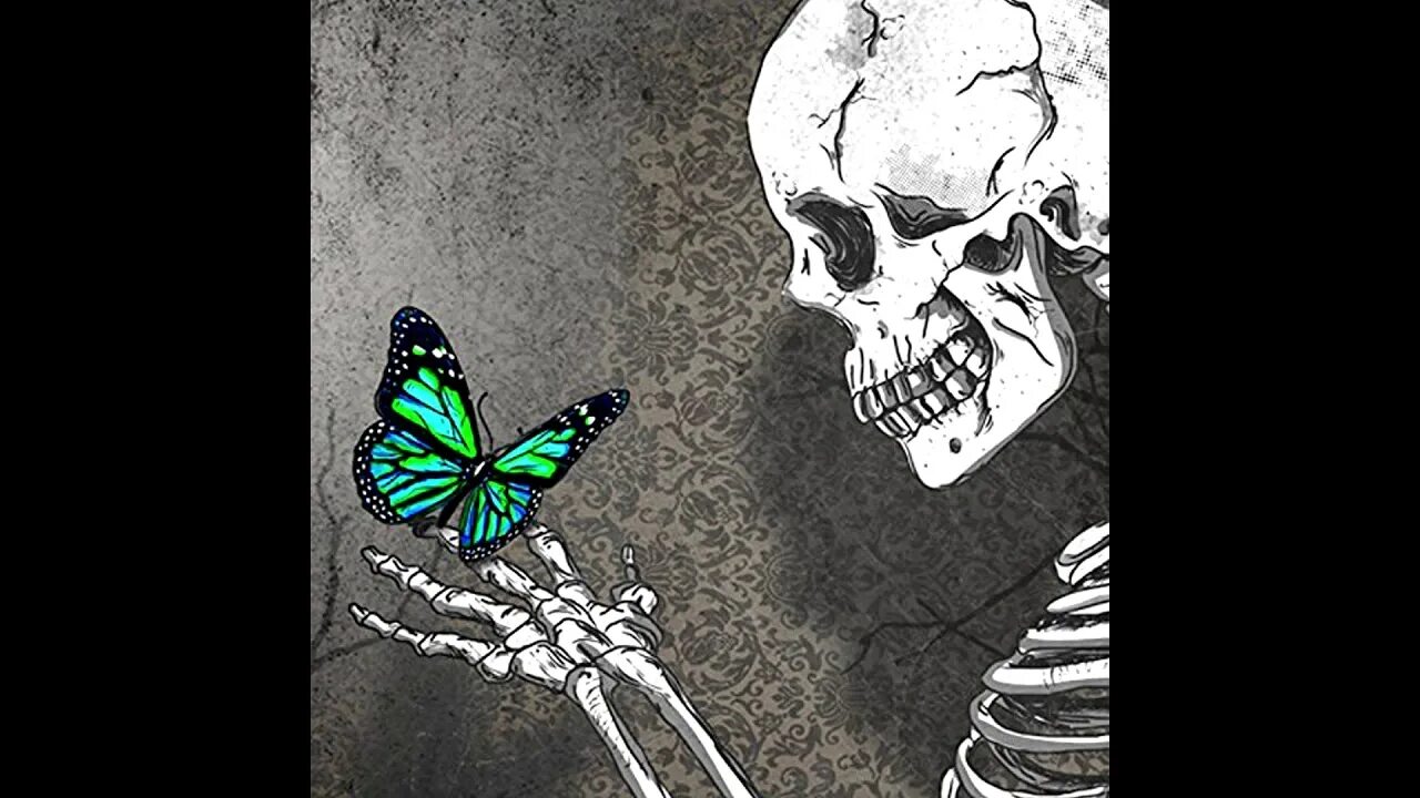 Кости бабочки. Скелет бабочка Evanescence. Скелет бабочки