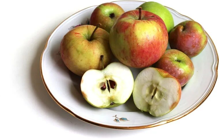 яблоки л. фуджи (сорт яблони). декоративная яблоко нецветского. фигурка яблоко декор. копилка в виде яблока.