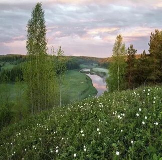 Кировская область жизнь