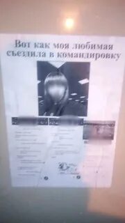 Отчет для мужа