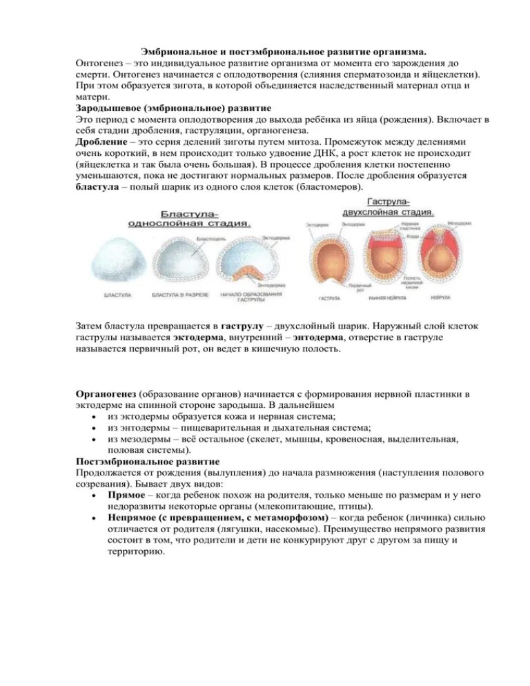 Онтогенез эмбриональное постэмбриональное. Эмбриональное и постэмбриональное развитие организмов. Эмбриональное и постэмбриональное развитие таблица. Эмбриональный и постэмбриональный период развития таблица. Онтогенез эмбриональное и постэмбриональное развитие.