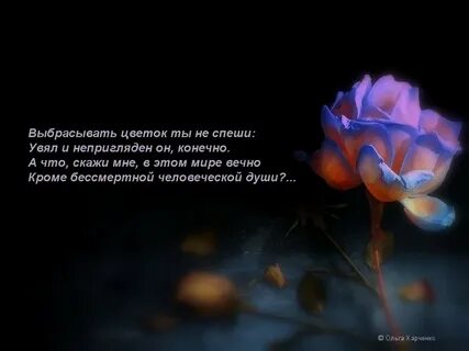 Ты как цветок