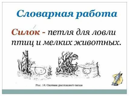 Силки