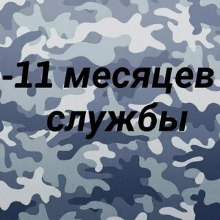 Три месяца службы