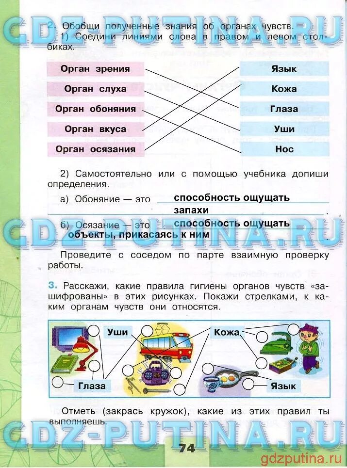 Окружающий мир 3 класс рабочая страница 71. Окружающий мир 3 класс рабочая тетрадь 1 часть Плешаков стр 74. Гдз окружающий мир 3 класс рабочая тетрадь 2. Окружающий мир 3 класс рабочая тетрадь стр 74. Окружающий мир 3 класс рабочая тетрадь 1 часть.
