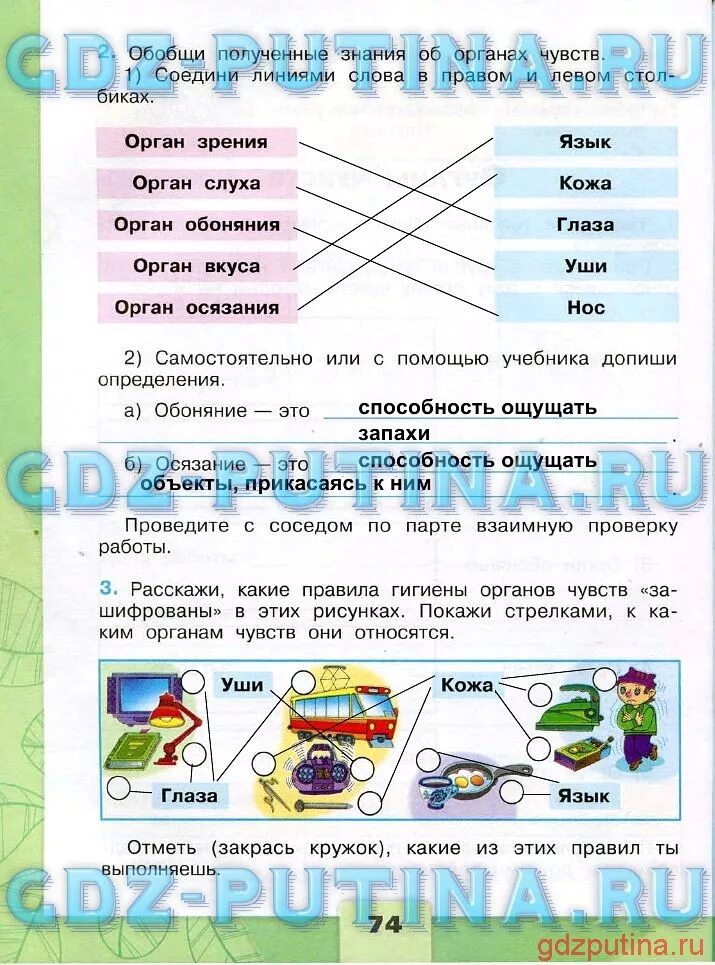 Окружающий мир 3 класс рабочая тетрадь 1 часть Плешаков стр 74. Окружающий мир 3 класс рабочая тетрадь стр 74. Окружающий мир 3 класс рабочая тетрадь 1 часть. Класс работы 3.3