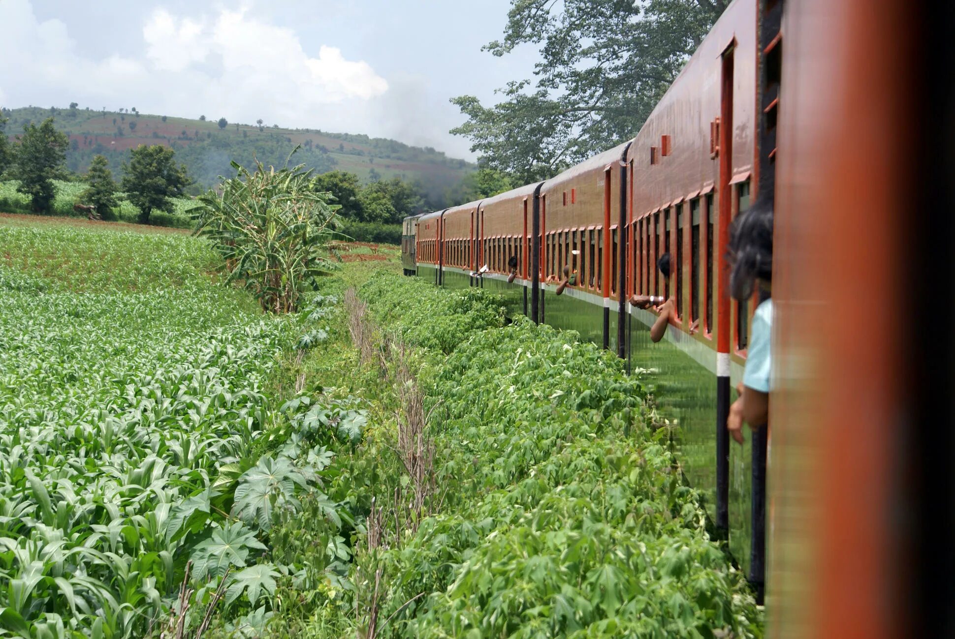 Train is gone. Паровозы prr. Train is gone. Железная дорога через джунгли. Поезд черно белый.