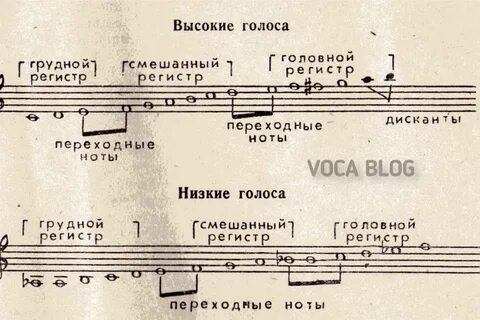 Вокальные регистры