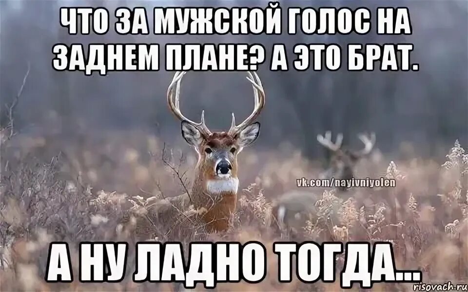 Ладно тогда это