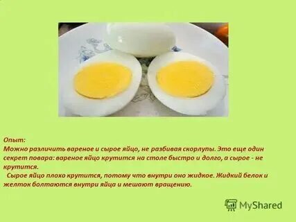 Можно ли котенку дать вареное яйцо. Можно ли котенку дать вареное яйцо. Пасхальные котята. Можно ли котенку дать вареное яйцо. Котенок лакает.