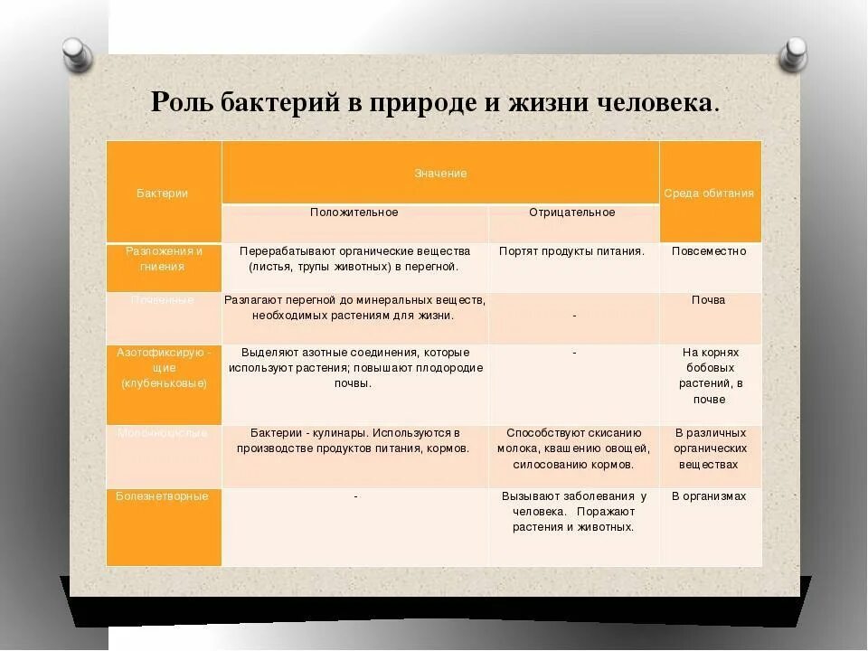 Использование людьми таблица. Среда обитания болезнетворных бактерий. Среда обитания бактерий бактерий. Бактерии гниения среда обитания. Бактерии гниения роль в жизни человека.