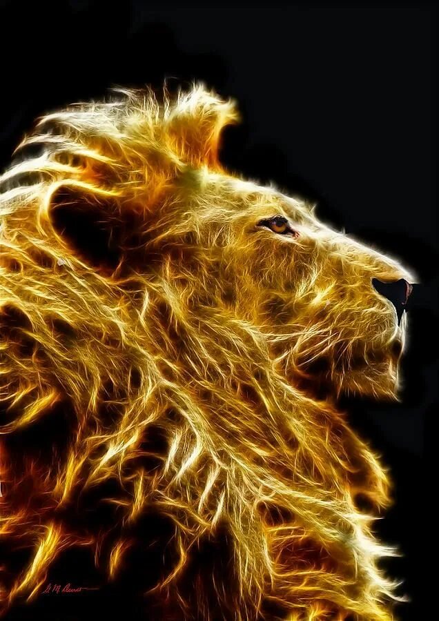 Gold lion. Огненная Дева. Огненный Лев. Золотой Лев. Лев в огне.