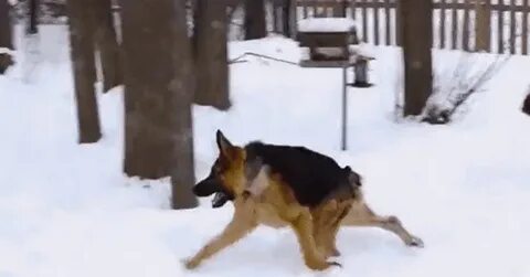 Со напасть
