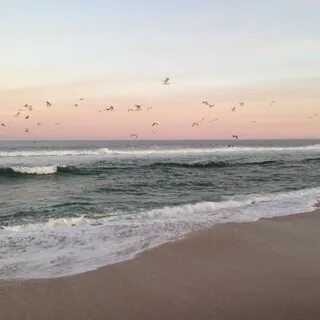 Не одна из этих beach