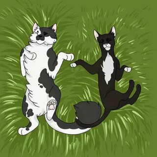 Коты воители ячмень