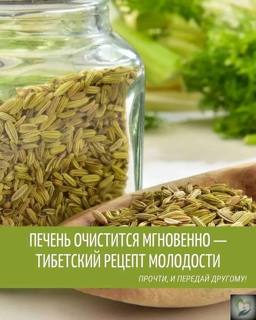 Укроп сосуды. Укроп мёд валериана и сосуды без изъяна. Укроп, мёд и валериана. Укроп мед валериана для сосудов. Укроп с медом.