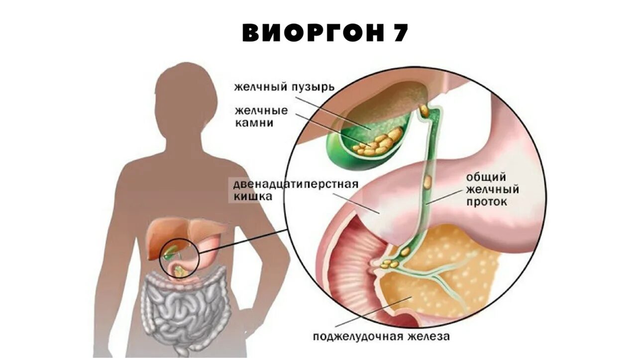 Таблетки застой желчного пузыря