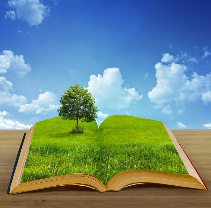 Дни защиты от экологической опасности. Окружающее строго. Рисунки для слайдов презентации. Окружающее строго. Фон для презентации по биологии.