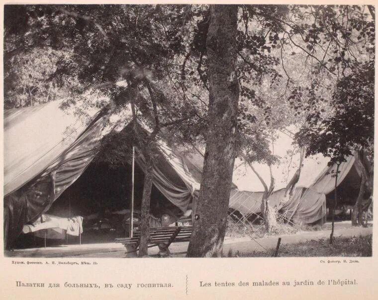 Садовая госпиталь. Палатки 20 век. Госпиталь в саду. Как выглядели палатки раньше и сейчас фото.