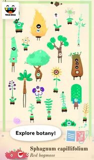 Toca plants