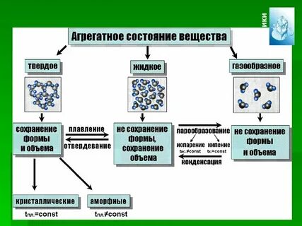 Дерево состояние вещества