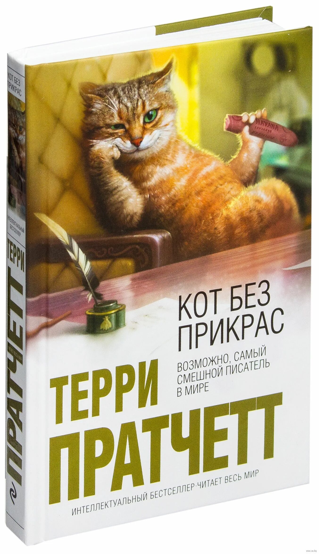 Книга про кота читать. Терри Пратчетт кот без прикрас. Кот без прикрас Терри Пратчетт книга. Терри Пратчетт кот без прикрас обложка. Терри Пратчетт книги о котах.