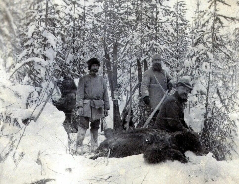 Охотник во время войны. Охотник Тайга 19 век. Охота на медведя в Вологодской области. Охотник 19 века Сибирь.